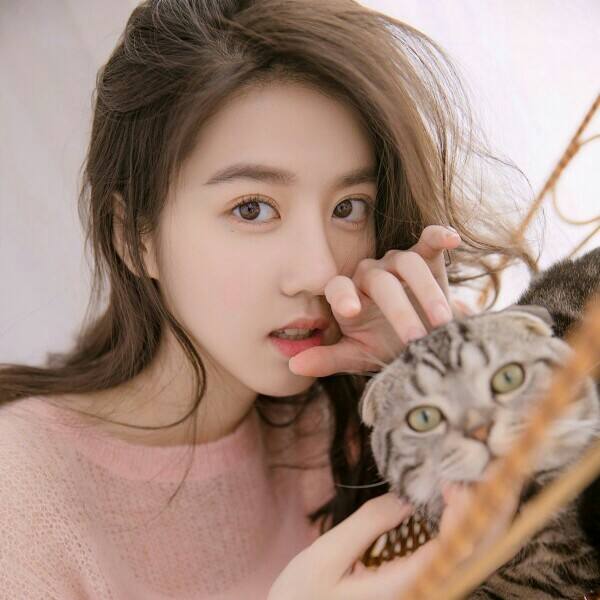 F1挑战赛修改版